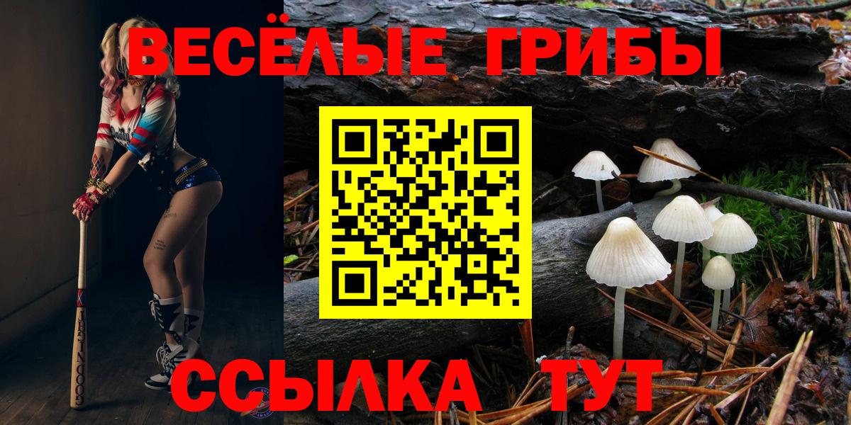 Псилоцибиновые грибы GOLDEN TEACHER  Вход с VPN  Нефтекамск  Галлюциногенные грибы MAGIC MUSHROOMS 